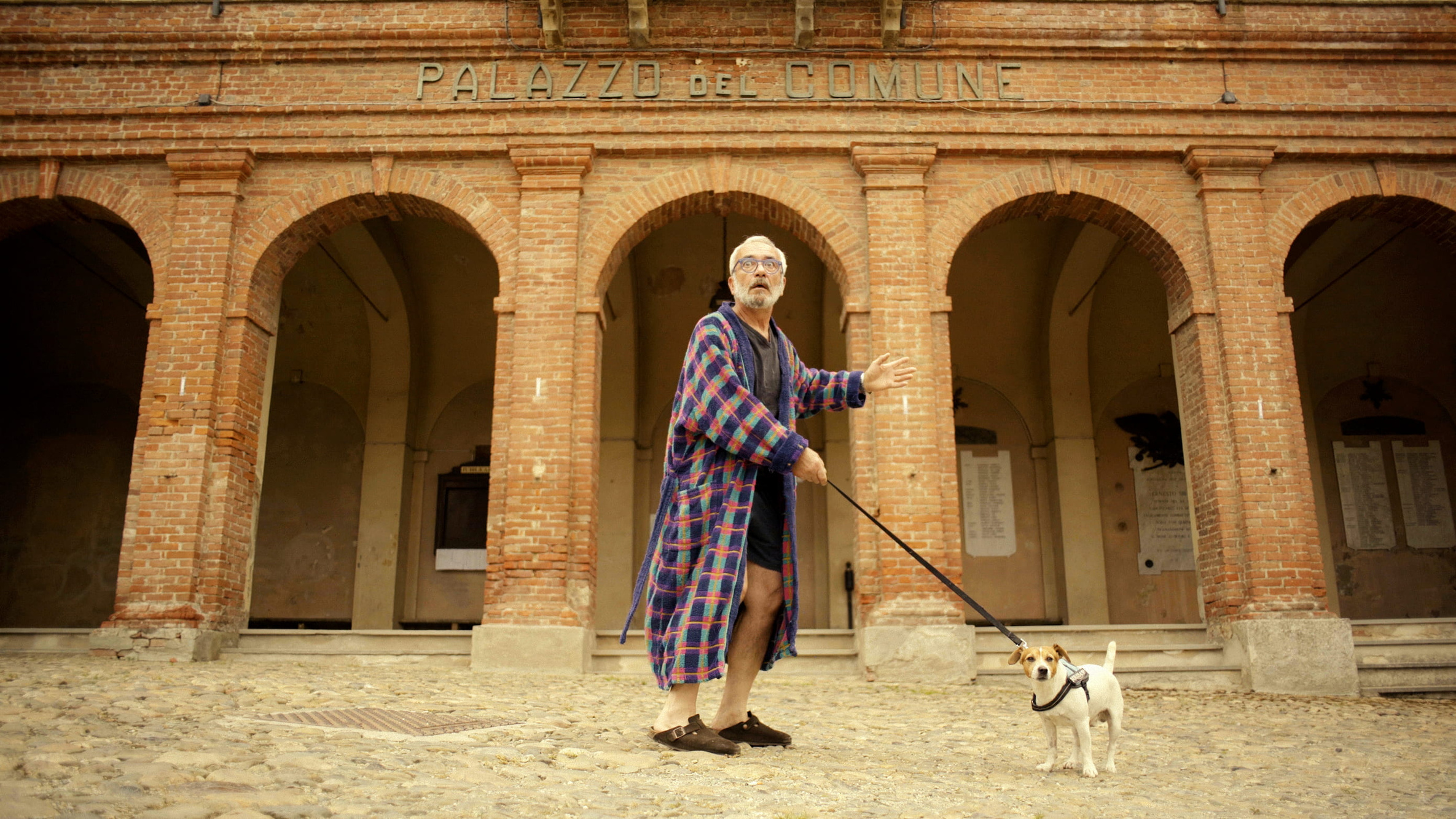De plumes et de laine